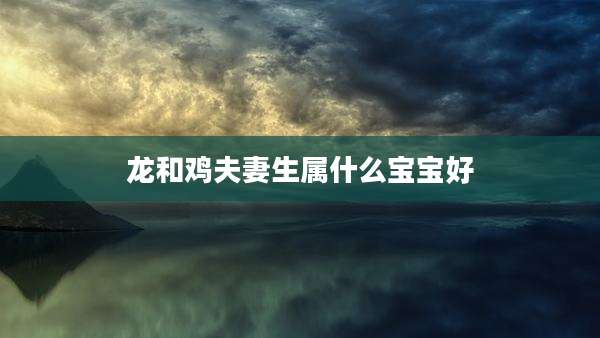 龙和鸡夫妻生属什么宝宝好