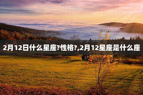 2月12日什么星座?性格?,2月12星座是什么座