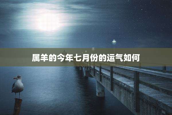 属羊的今年七月份的运气如何