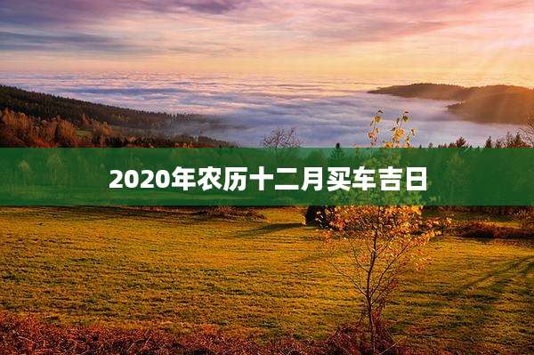2020年农历十二月买车吉日