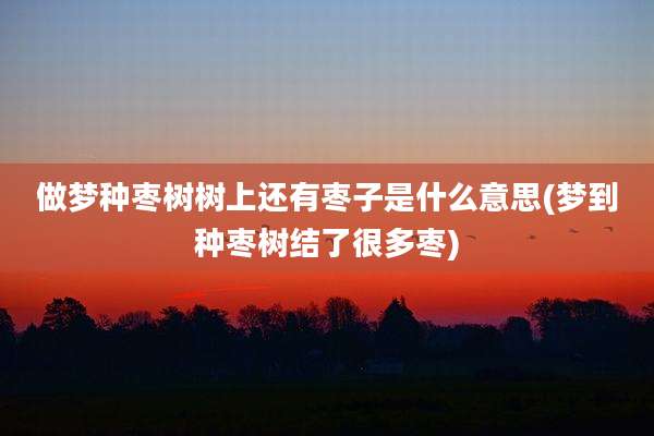 做梦种枣树树上还有枣子是什么意思(梦到种枣树结了很多枣)