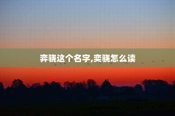 弈骁这个名字,奕骁怎么读