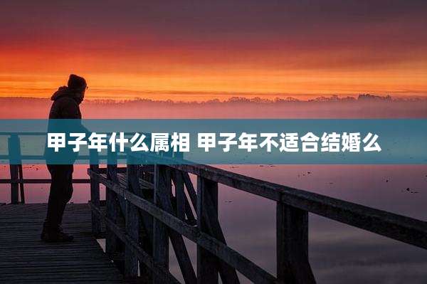 甲子年什么属相 甲子年不适合结婚么