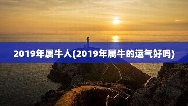 2019年属牛人(2019年属牛的运气好吗)