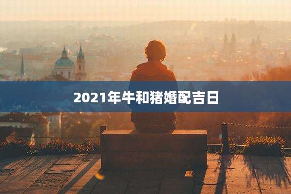 2021年牛和猪婚配吉日