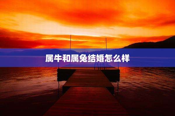属牛和属兔结婚怎么样