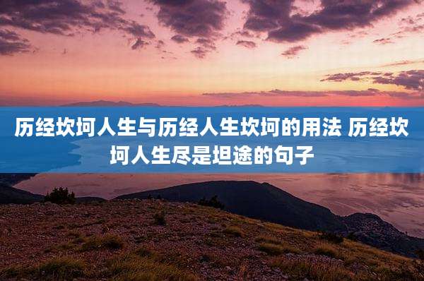 历经坎坷人生与历经人生坎坷的用法 历经坎坷人生尽是坦途的句子