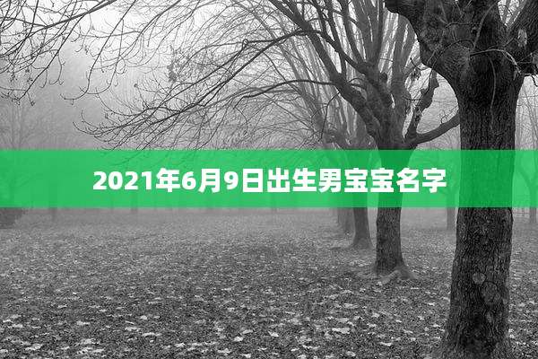 2021年6月9日出生男宝宝名字