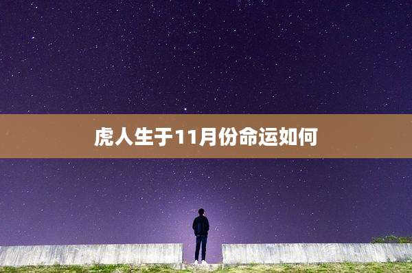 虎人生于11月份命运如何