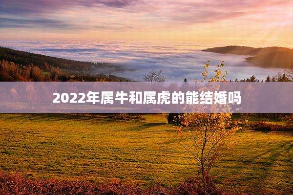 2022年属牛和属虎的能结婚吗