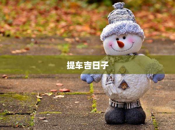 提车吉日子