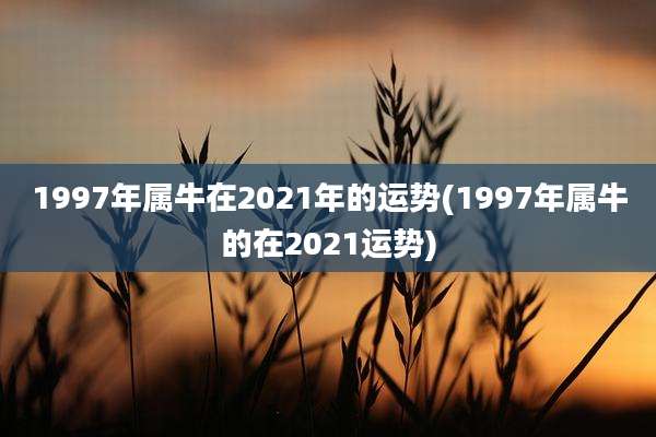 1997年属牛在2021年的运势(1997年属牛的在2021运势)
