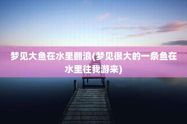 梦见大鱼在水里翻浪(梦见很大的一条鱼在水里往我游来)