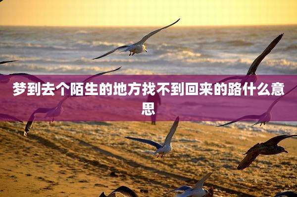 梦到去个陌生的地方找不到回来的路什么意思