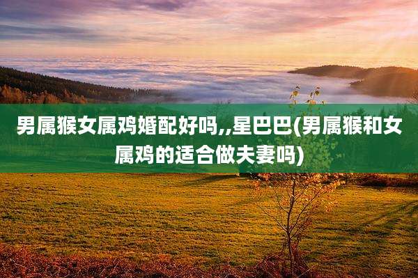 男属猴女属鸡婚配好吗,,星巴巴(男属猴和女属鸡的适合做夫妻吗)
