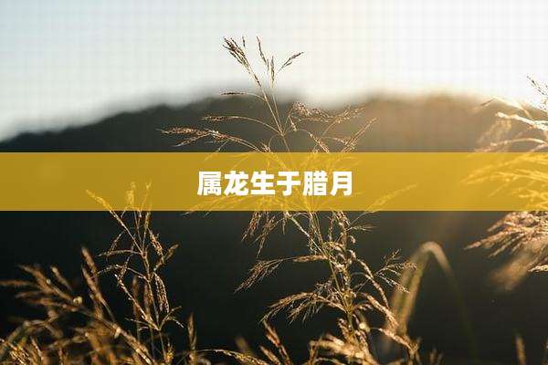 属龙生于腊月
