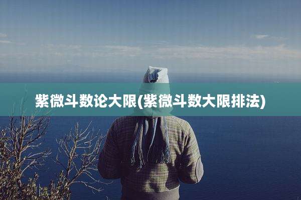 紫微斗数论大限(紫微斗数大限排法)