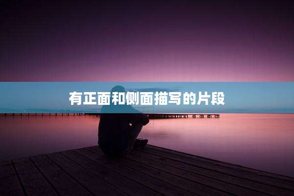 有正面和侧面描写的片段