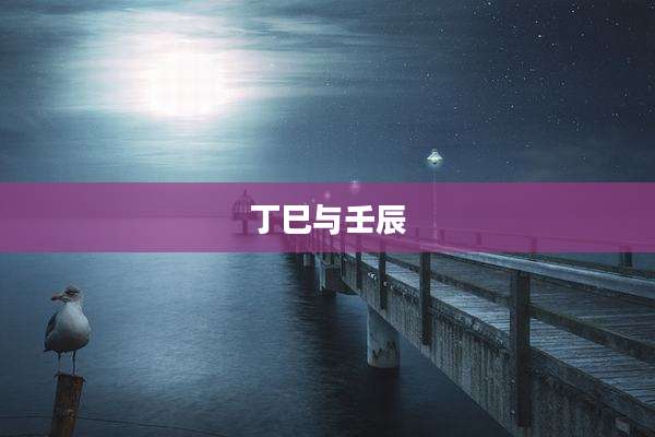 丁巳与壬辰