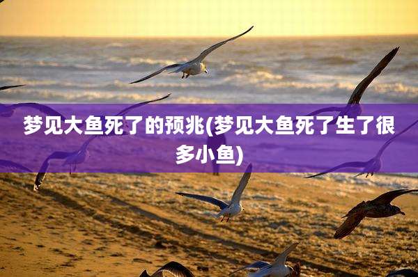 梦见大鱼死了的预兆(梦见大鱼死了生了很多小鱼)