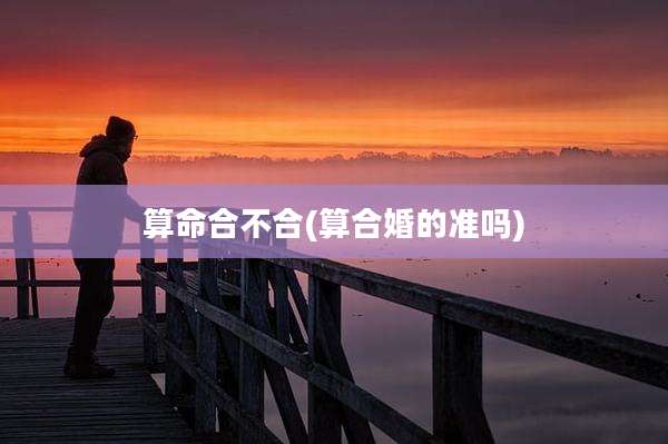 算命合不合(算合婚的准吗)
