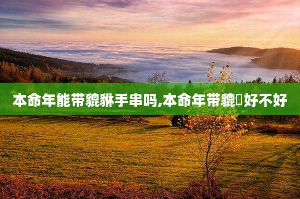 本命年能带貔貅手串吗,本命年带貔恘好不好