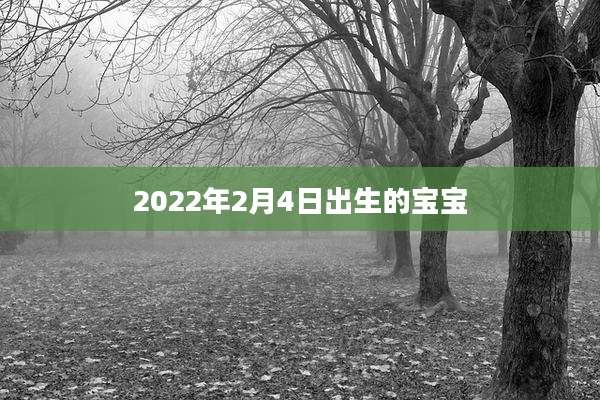2022年2月4日出生的宝宝