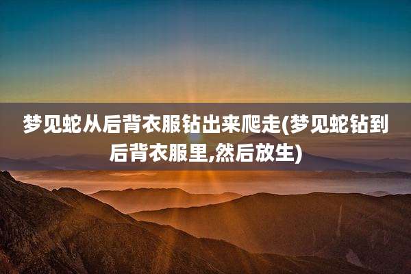 梦见蛇从后背衣服钻出来爬走(梦见蛇钻到后背衣服里,然后放生)