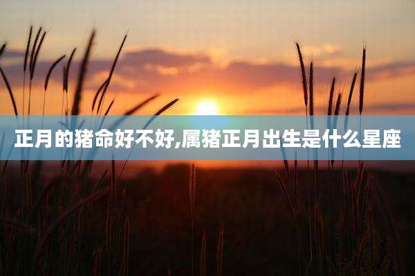 正月的猪命好不好,属猪正月出生是什么星座