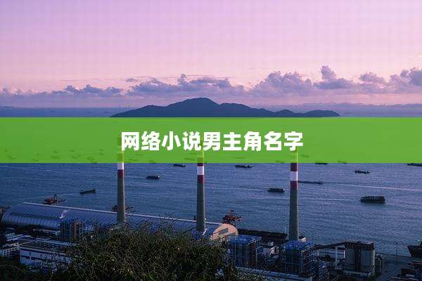 网络小说男主角名字