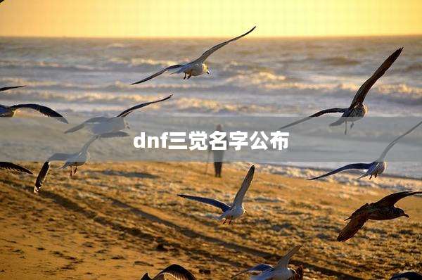 dnf三觉名字公布