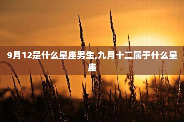 9月12是什么星座男生,九月十二属于什么星座
