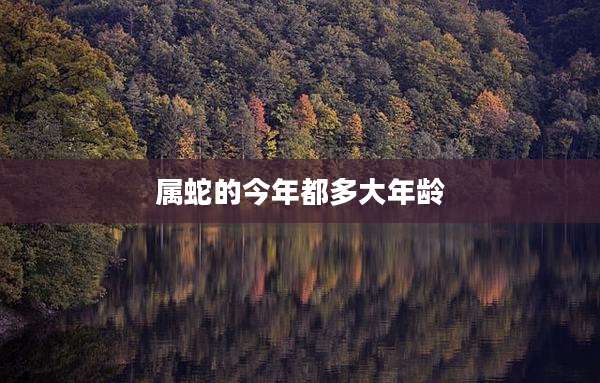 属蛇的今年都多大年龄