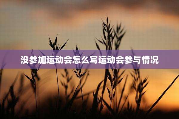 没参加运动会怎么写运动会参与情况