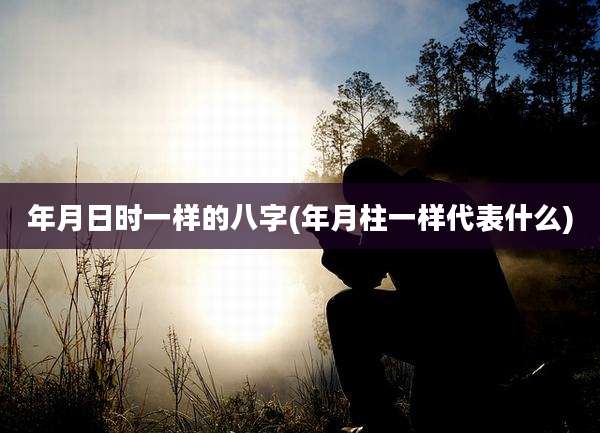 年月日时一样的八字(年月柱一样代表什么)