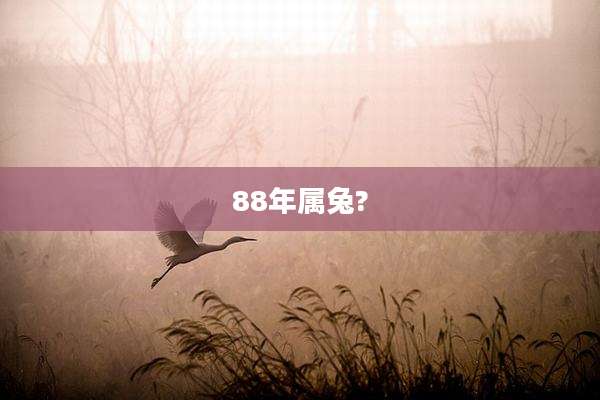 88年属兔?
