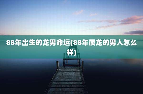 88年出生的龙男命运(88年属龙的男人怎么样)