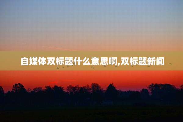 自媒体双标题什么意思啊,双标题新闻