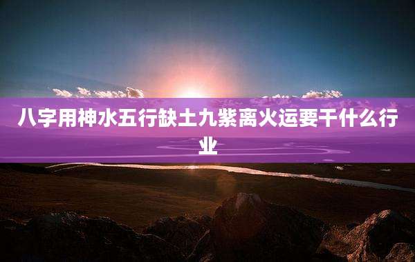 八字用神水五行缺土九紫离火运要干什么行业
