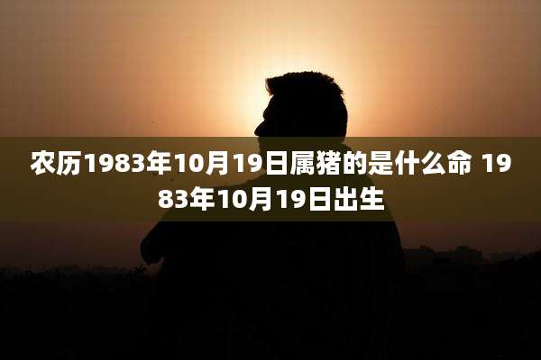 农历1983年10月19日属猪的是什么命 1983年10月19日出生