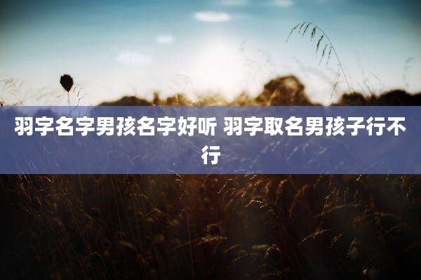 羽字名字男孩名字好听 羽字取名男孩子行不行