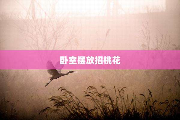 卧室摆放招桃花