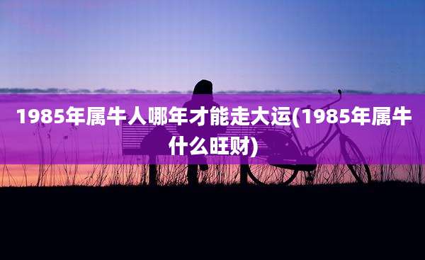 1985年属牛人哪年才能走大运(1985年属牛什么旺财)