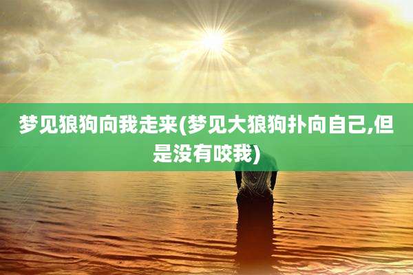 梦见狼狗向我走来(梦见大狼狗扑向自己,但是没有咬我)