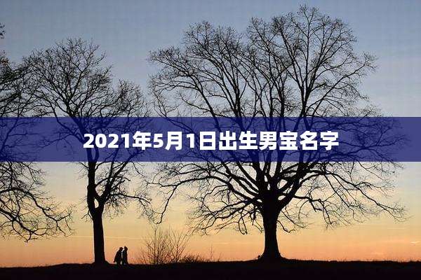 2021年5月1日出生男宝名字