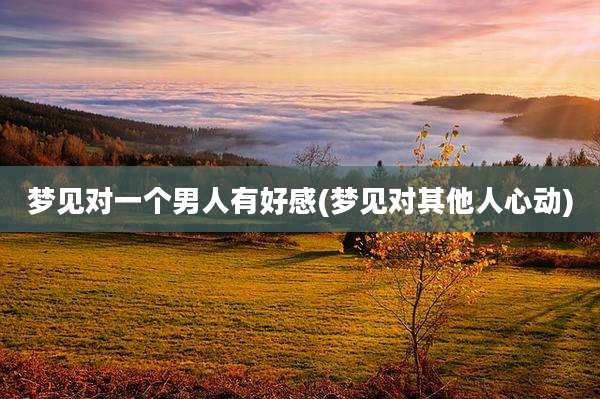 梦见对一个男人有好感(梦见对其他人心动)