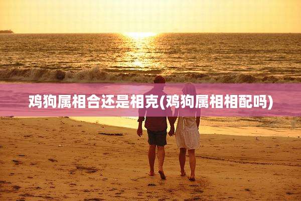 鸡狗属相合还是相克(鸡狗属相相配吗)