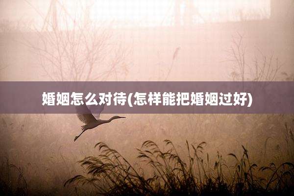婚姻怎么对待(怎样能把婚姻过好)