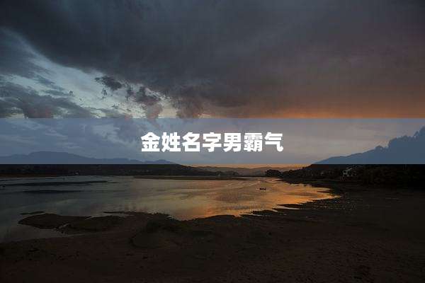 金姓名字男霸气