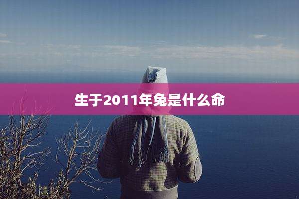 生于2011年兔是什么命